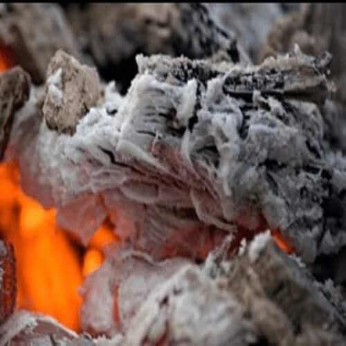 madera de encina en ascuas y cenizas