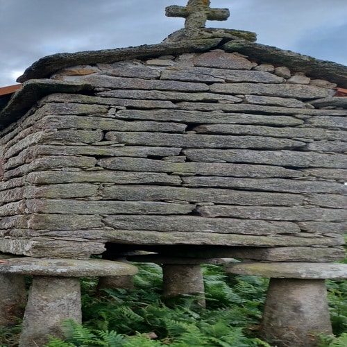 horreo gallego de piedra y helechos verdes