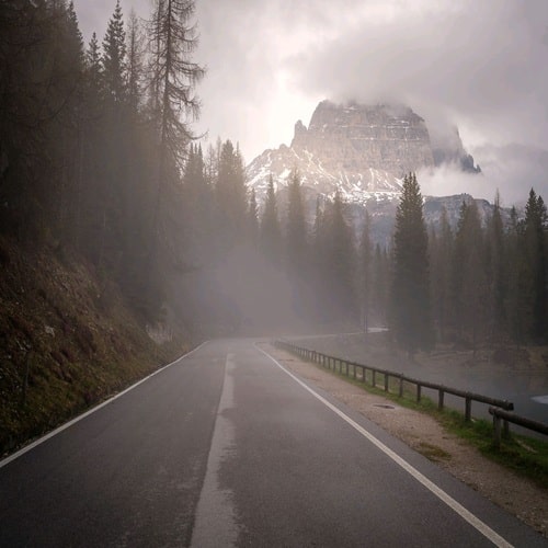 Paisaje con niebla carretera, pinos y montaña nevada
