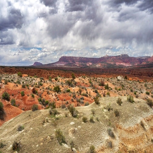 Paisaje semidesértico matorrales y cordillera al fondo