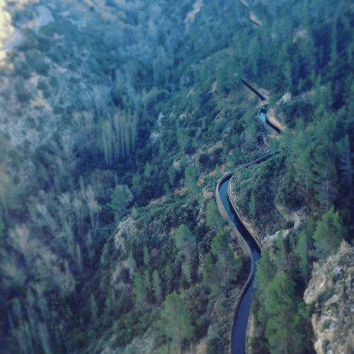 Vía de agua de alta montaña entre bosques de pinos.