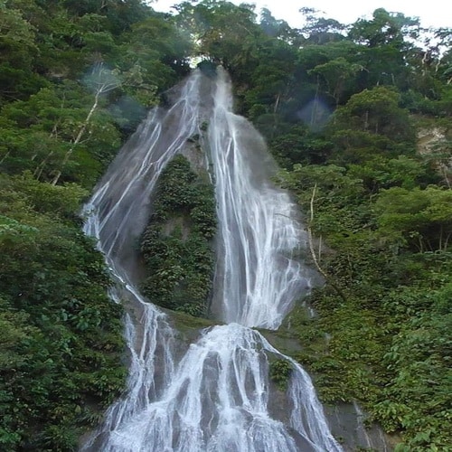 Cascada de agua despeñándose entre los árboles y arbustos