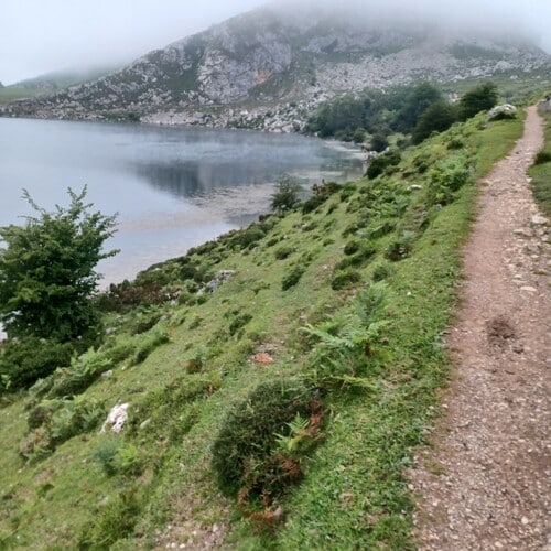 Senda que bordea el lago Enol en los Picos de Europa. Por preparador lengua