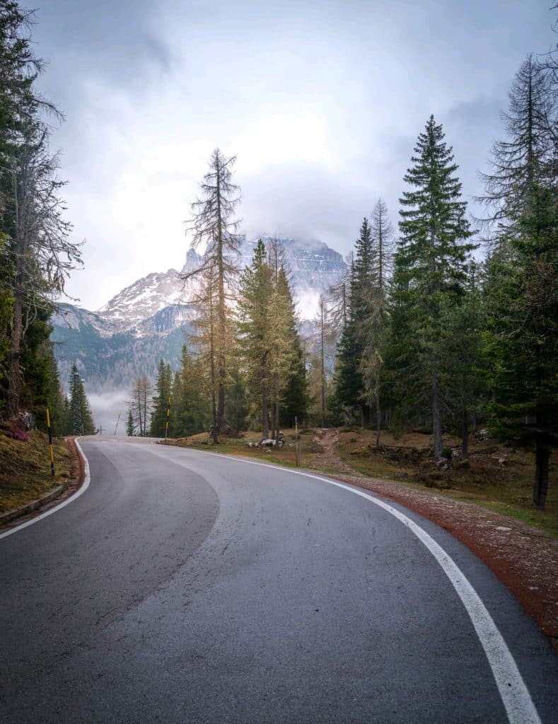 Carretera atravesando un bosque de pinos con montaña al fondo- por preparador oposiciones lengua y literatura