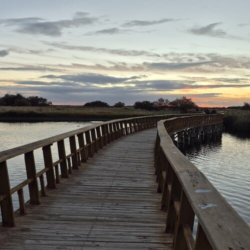 Puente de madera . Tablas de Daimiel. Por preparador lengua